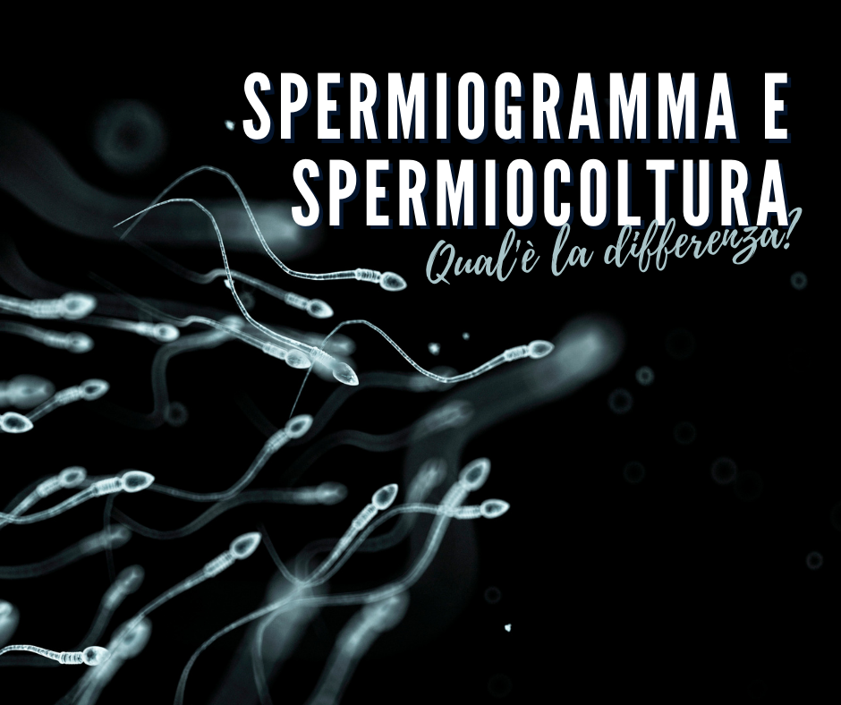 Spermiogramma e spermiocoltura
