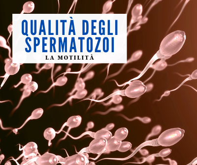 Qualità degli spermatozoi Motilità spermatozoi