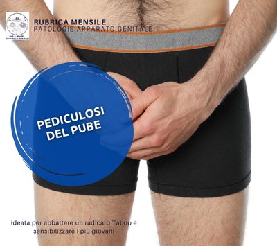 pediculosi del pube