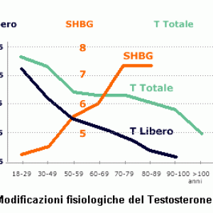 Nella pratica corrente il termine di ipogonadismo sottende obbligatoriamente la deficitaria produzione di Testosterone. 